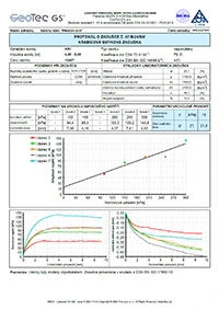 Borehole + SPT test (USA)